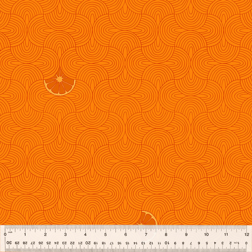 Summer Lovin' - Slices, Orange Slices