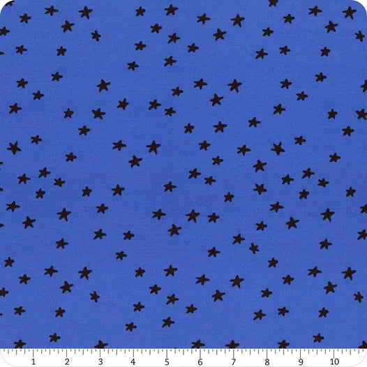 Starry by Alexia Abegg, Blue Ribbon