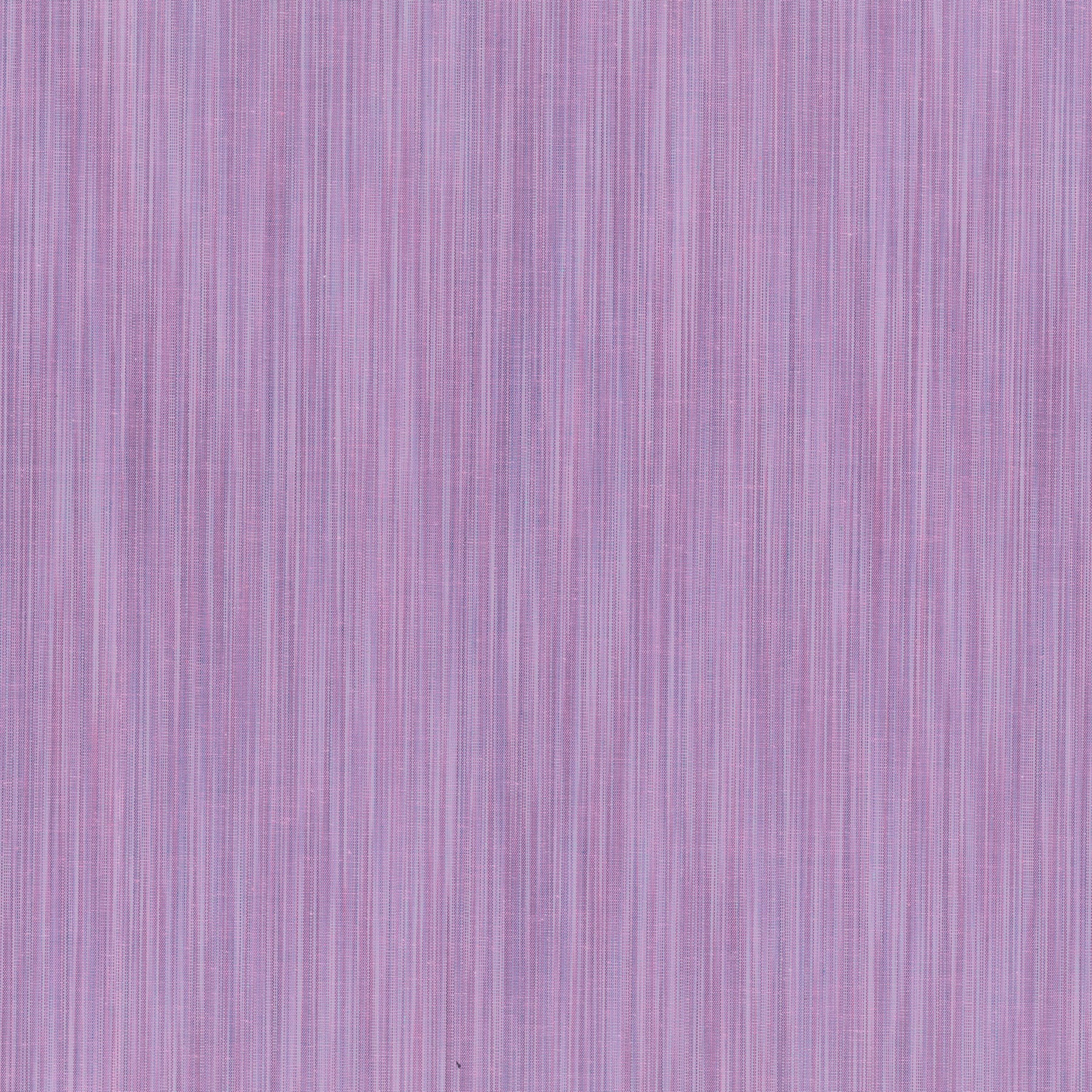Space Dye by Ghazal Razavi, Lavender