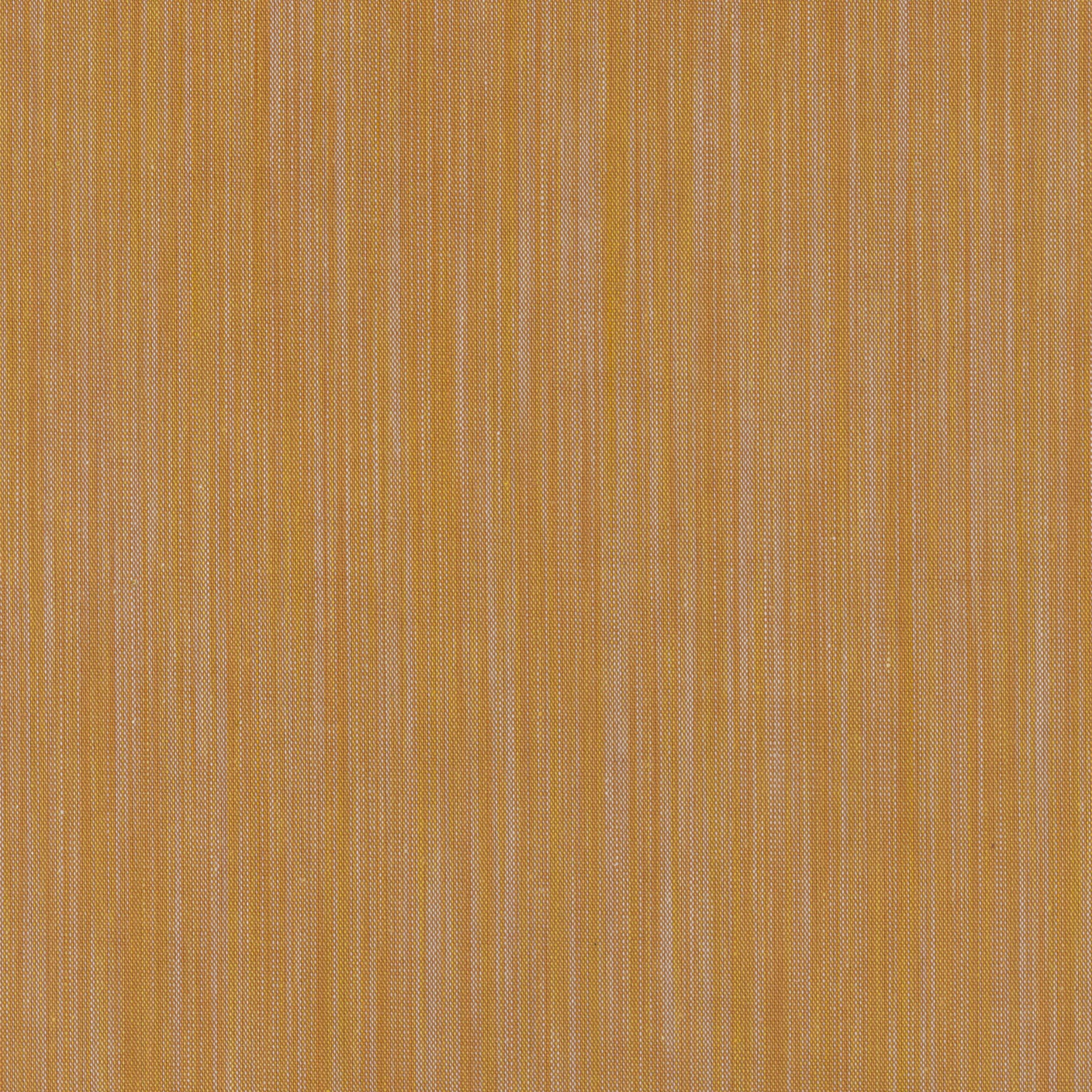 Space Dye by Ghazal Razavi, Tangerine