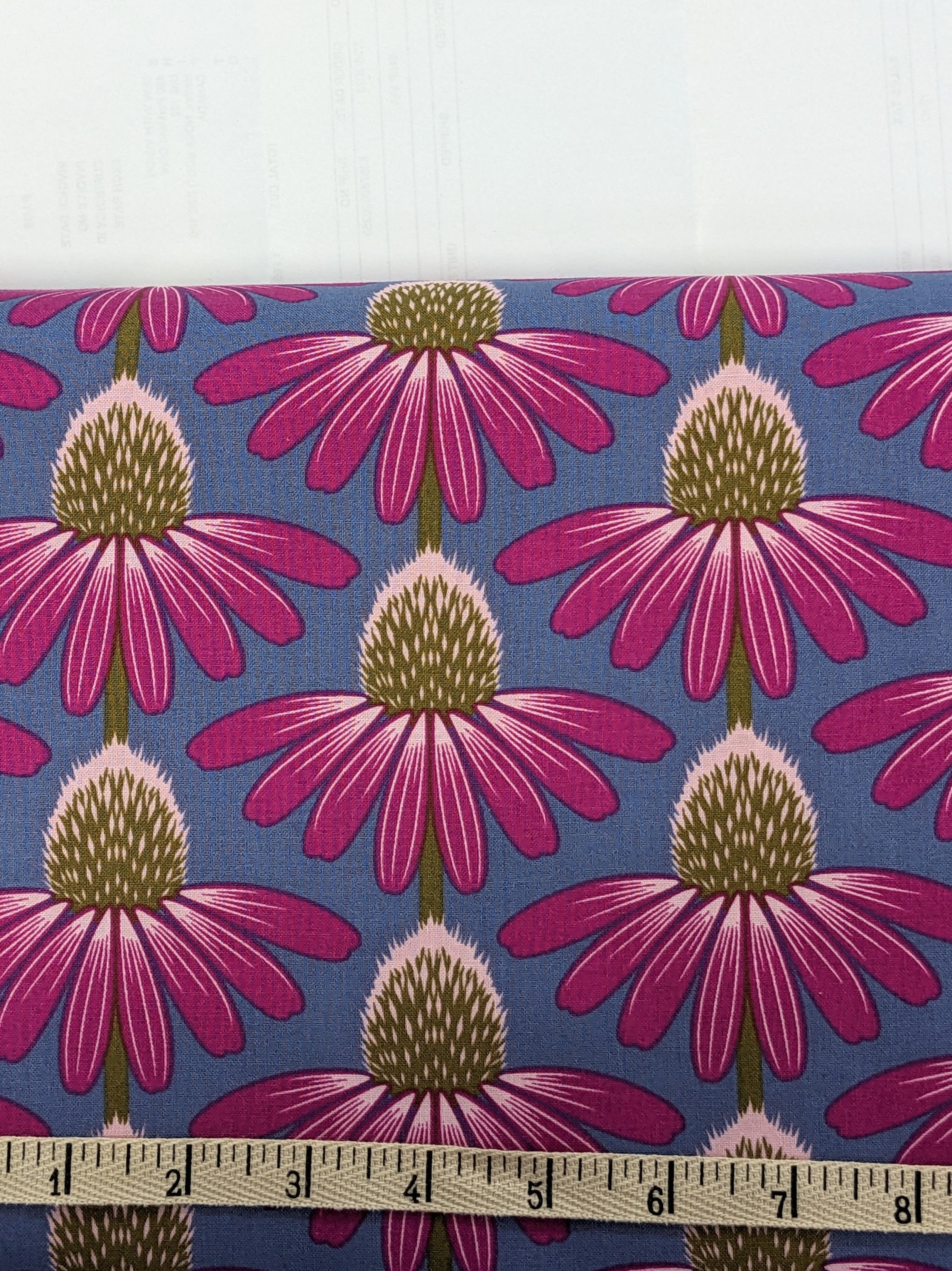 Love Always, AM, Echinacea Haute