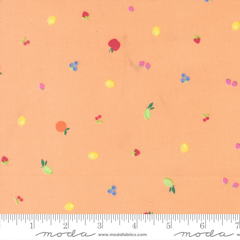 Fruit Salad by Corey Yoder for Moda, Fruit Snack, Cantaloupe