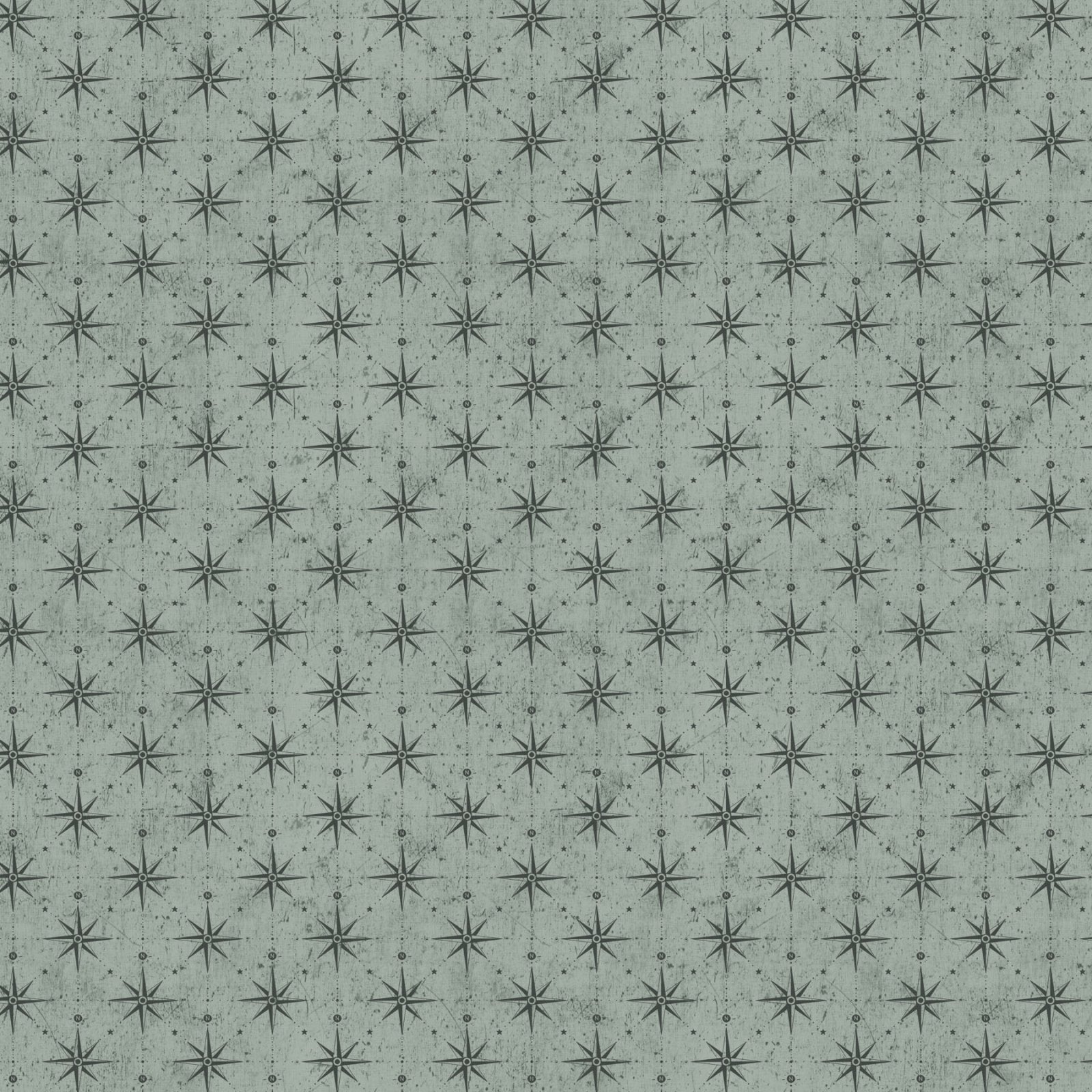 Great Journey, Green Compass