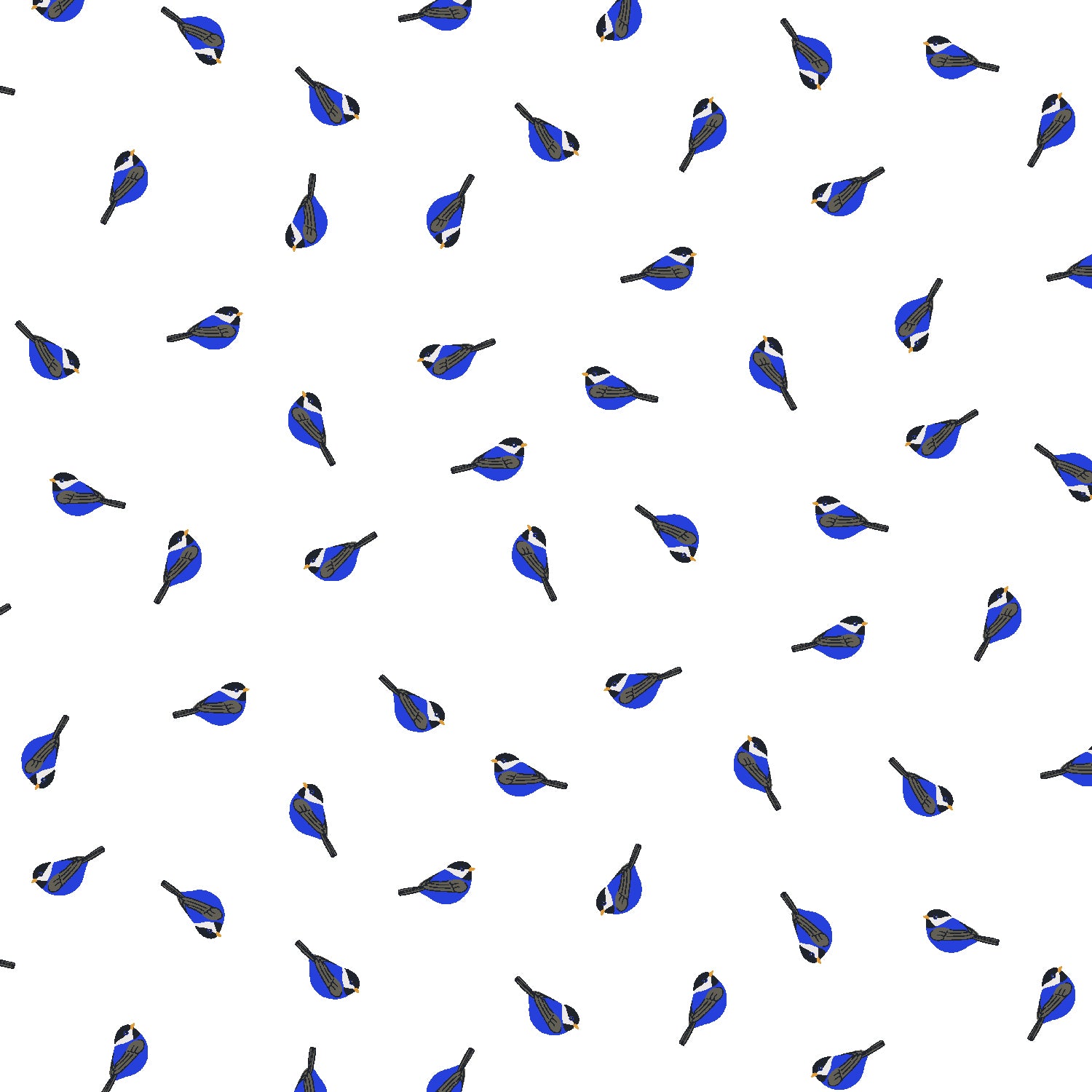 Backyard Birdwatching by Ann Silberlicht, What's Up Chickadee, Blue