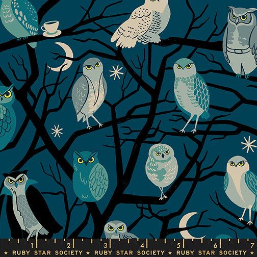 Freaky Familiars by Ruby Star Society, Who Cooks For You, Galaxy