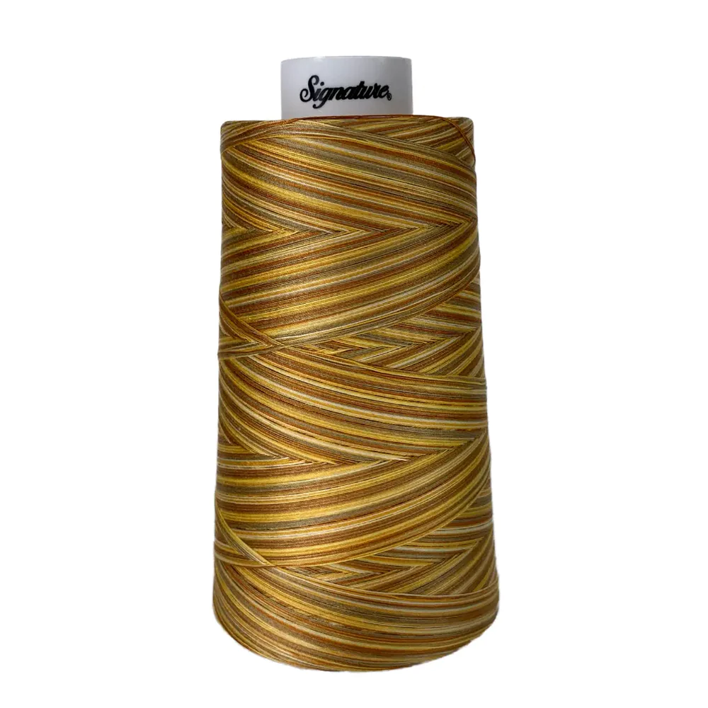 Signature Thread Variegated Colors, Golden Harvest