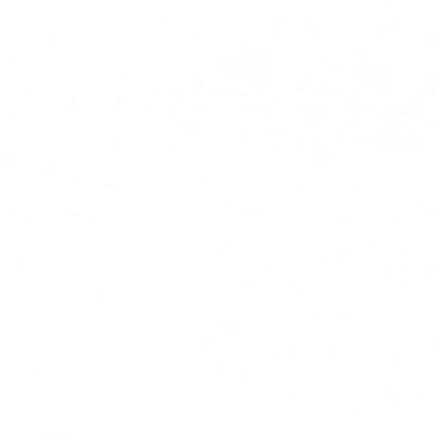 Premium Muslin, 108" Wide - White