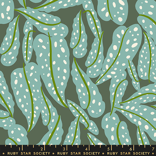 Calathea by Ruby Star Society, Overlapping Leaves, Seaweed