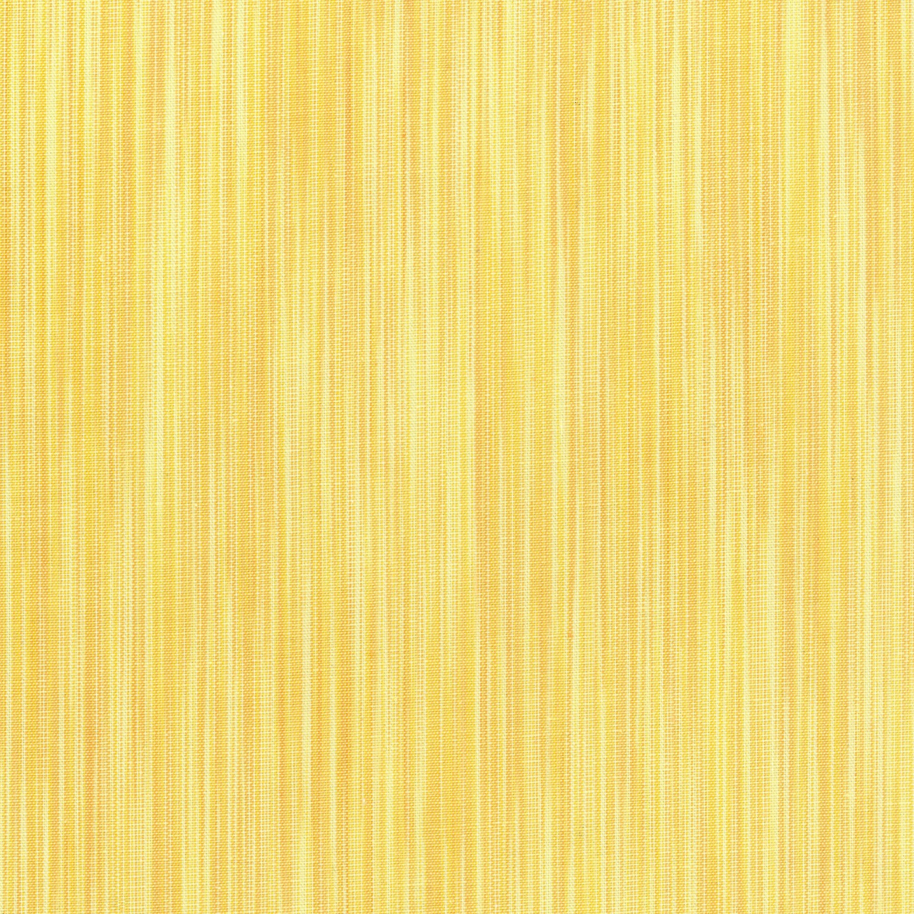Space Dye by Ghazal Razavi, Butter