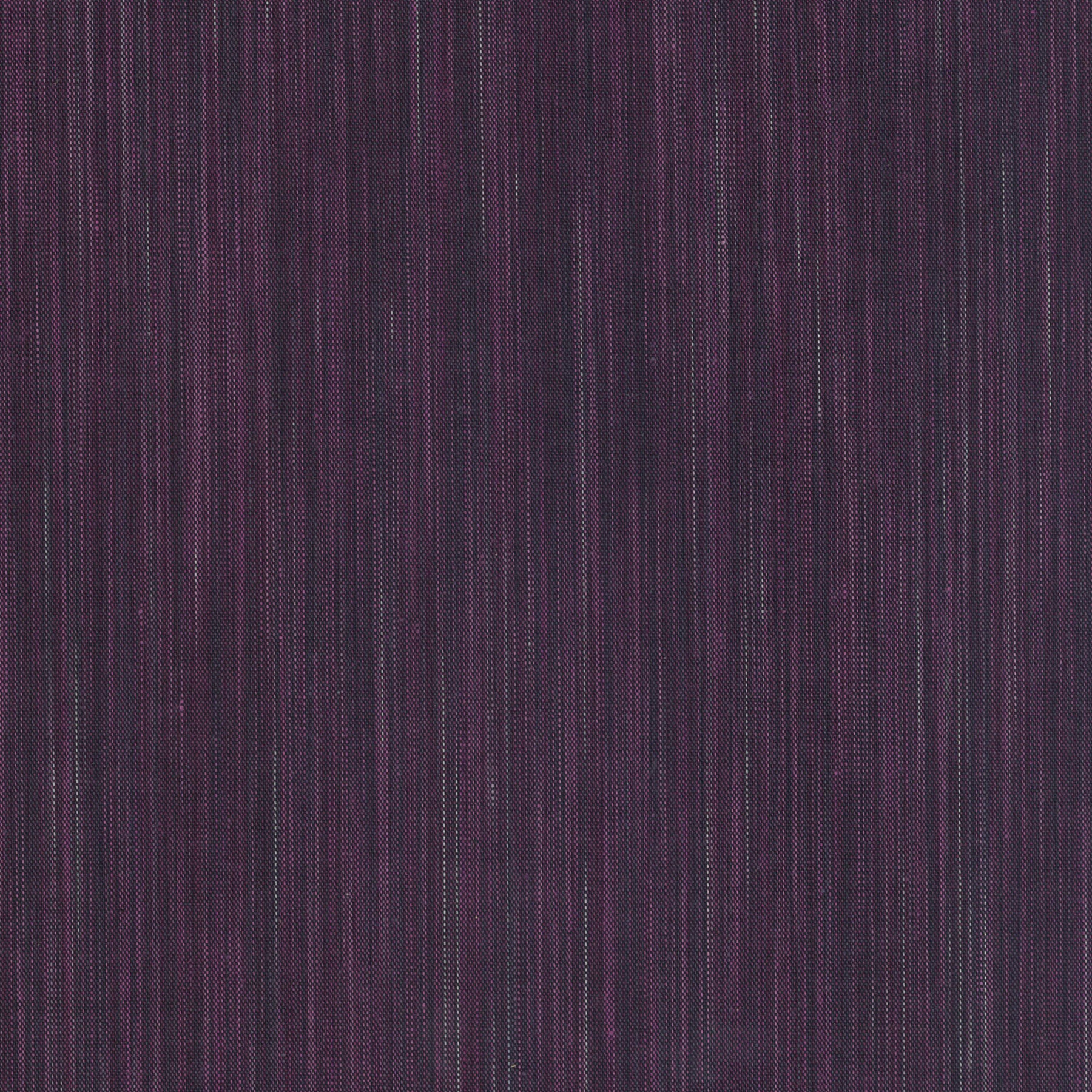 Space Dye by Ghazal Razavi, Eggplant